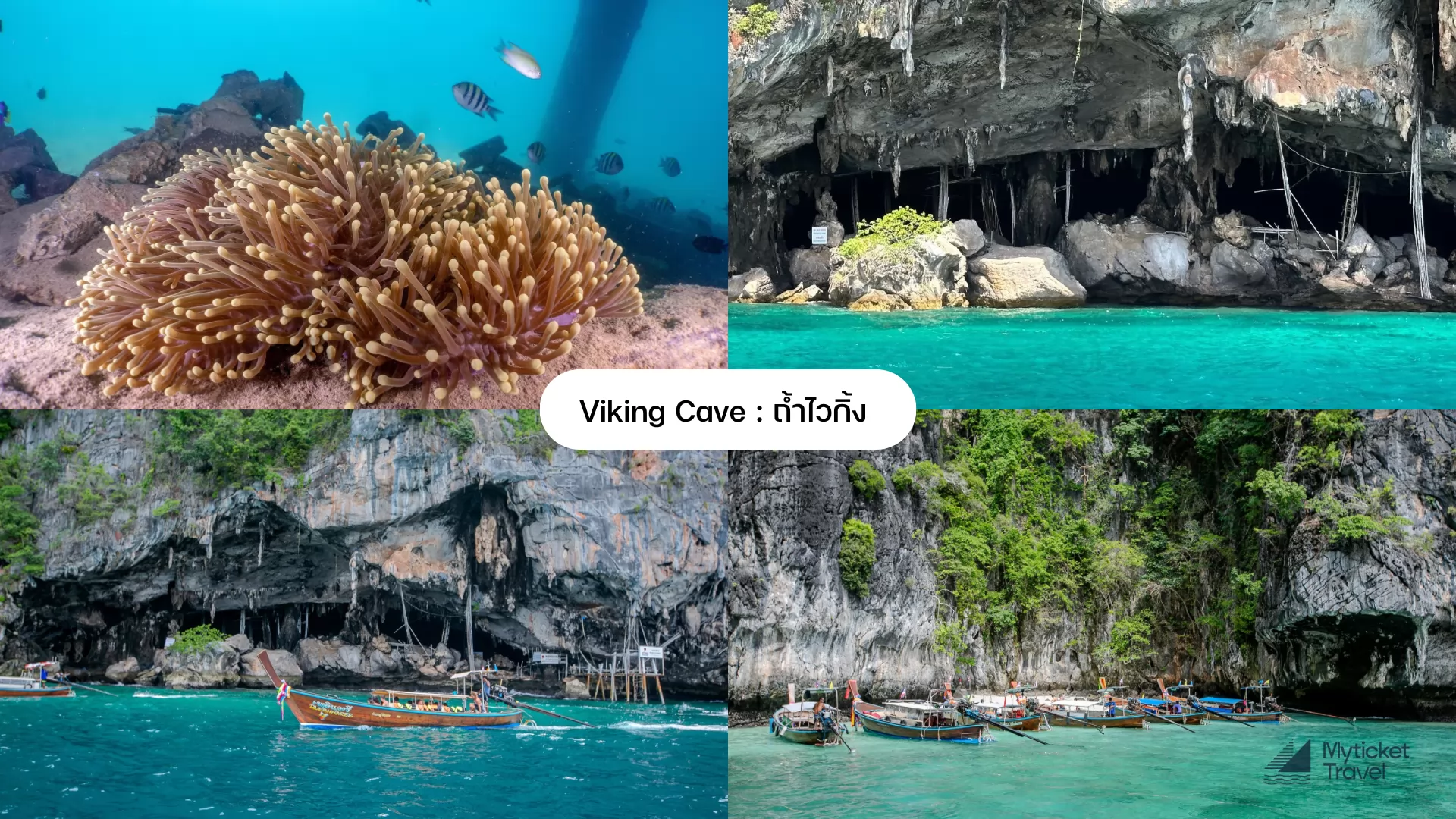 From Koh Phi Phi 7 Island Tour Maya Bay By Speed Boat